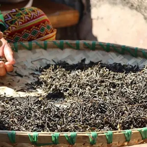 Yunnan Grootbladige Soorten Hebben Een Natuurlijke Goede Smaak Gecomprimeerde Yunnan Pu'er Thee Gecomprimeerde Thee