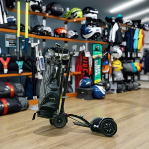 Pour ESWING haute qualité 4 roues gros pneu électrique Golf Scooter pousser chariot moteur sans balais Fairway Runner à vendre - Product Image 6