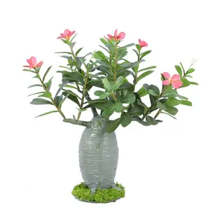 Beliebte Landschafts pflanzen Adenium Obesum Desert Rose Topf künstliche Pflanze