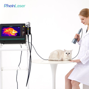 Alta potência 30w-60w classe IV laser terapia fisioterapia dispositivo inteligente ICE multi-comprimento de onda para animais alívio das dores - Product Image 5