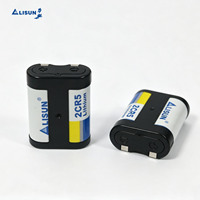 Pile au lithium primaire 2CR5 6V pour moniteur médical, lecteur de glycémie et équipement de diagnostic portable