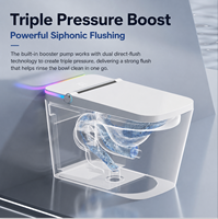 WC intelligent monobloc avec fonction de lavage féminin, lavage anal et veilleuse – Approvisionnement direct usine
