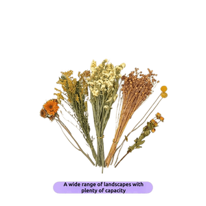 Literie pour hamster de conception originale faite de fleurs séchées naturelles librement combinables - Product Image 5