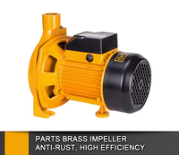 Pompe à eau propre 220V 50Hz, moteur en cuivre, pompe à eau électrique étanche et anti-fuite pour l'irrigation domestique et industrielle