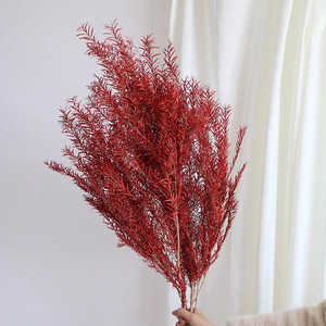 Mirtilli Dorati Sbiancati <span class=keywords><strong>e</strong></span> Conservati, Senza Rami Neri, per Fioristi <span class=keywords><strong>e</strong></span> Fai-da-Te, Fornitura per Bouquet - Product Image 4