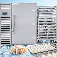 Congélateur Commercial à Viande de Haute Qualité avec Chariot - Contrôle de Température -45°C - Congélateur Rapide Multifonctionnel à Plaques