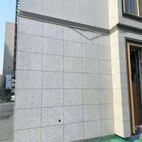Dalles et Plaques de Granit Poli Blanc Galaxie Naturel en Promotion pour Revêtements de Sol et Plans de Travail de Villas Modernes