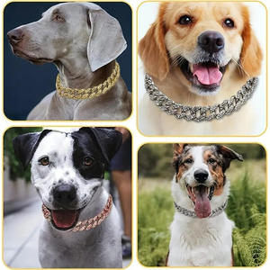 Collier de luxe en chaîne dorée pour chien, style hip-hop, maillons cubains, pour <span class=keywords><strong>Pitbull</strong></span>, <span class=keywords><strong>American</strong></span> <span class=keywords><strong>Bully</strong></span>, grands chiens, bijoux esthétiques pour animaux de compagnie - Product Image 3