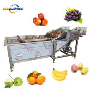 Machine <span class=keywords><strong>de</strong></span> lavage à bulles d'air commerciale <span class=keywords><strong>de</strong></span> grande capacité pour fruits (raisins, bananes, figues <span class=keywords><strong>de</strong></span> Barbarie, agrumes, noix <span class=keywords><strong>de</strong></span> coco, oranges) - Product Image 1