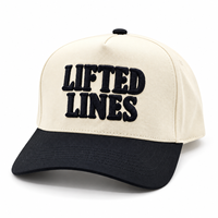 Casquette de baseball personnalisée 100 % coton à 5 panneaux avec broderie 3D en relief, visière incurvée bicolore, chapeau de sport pour homme, OEM ODM, vente en gros