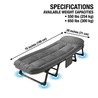 Cama Individual Reclinable para Playa, Sofá Cama Plegable Multifuncional, Cama Plegable para Parque con Cojín