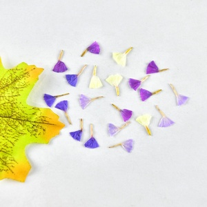 20 pz/pacco dimenticami non/Statice Fortunei/lavanda di mare decorazione artistica per unghie Decal Mini <span class=keywords><strong>fiori</strong></span> naturali pressati - Product Image 3