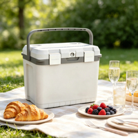 Caja de almacenamiento multifuncional para exteriores y hogar, fabricada con moldeo por inyección, de polipropileno de grado alimenticio, nevera portátil de 15L.