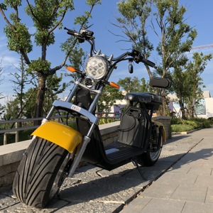 Motocicleta Eléctrica E Chopper 250 W Touring, Disponible en UE y EE. UU., Citycoco con Aprobación DOT y COC, con Batería - Product Image 5