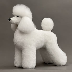 Huisdier Simulatie Haarverzorging Oefenen Hond Standaard Poedel Volledig Lichaam Skeletmodel Huisdierverzorgingsmodel Simulatie Vachtknippen - Product Image 2