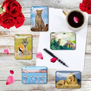 Nouveaux aimants rectangulaires 3D en verre avec animaux, aimants commémoratifs pour réfrigérateur, aimants en cristal pour réfrigérateur - Product Image 4