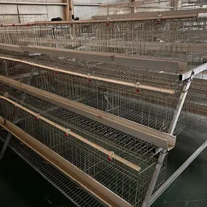 Automatic Industrial Cheap Layer Large Atype Chicken Coop House Broiler Cage for Laying Hens for Brazll