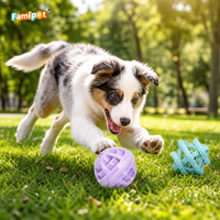 Famipet Fabricant, Vente en gros personnalisée, Nouveau jouet à mâcher pour chien en TPR creux, durable, pour mâcheurs agressifs