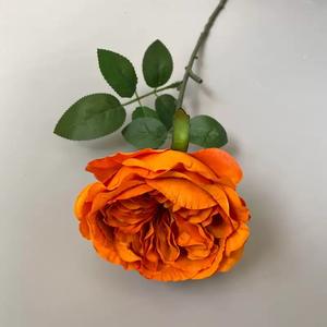 Rose artificielle à tige unique Austin, décoration <span class=keywords><strong>de</strong></span> mariage, décoration intérieure, vase à fleurs, style européen, rose vintage - Product Image 5