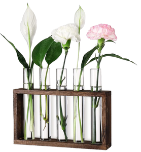 ชุดทดสอบการขยายพันธุ์พืชแบบคลาสสิกพร้อมขาตั้งไม้5หลอดสำหรับการขยายพันธุ์สวนขวดบอนไซ - Product Image 1