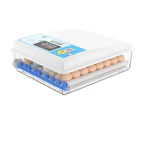 Automatic 12V dc 220V ac Dual Power Chicken 64 Egg Incubator