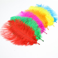 Lot de 50 plumes d'autruche blanches avec plume fine pour arrangement floral, décoration de maison, fête, mariage