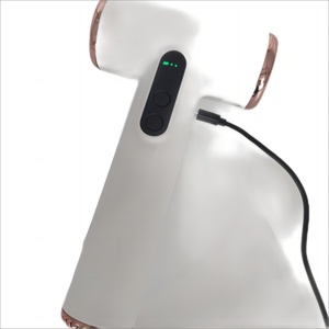 Sèche-cheveux électrique professionnel sans fil haute vitesse rechargeable USB/à piles portable pour la maison, l'hôtel et les voyages avec support - Product Image 5