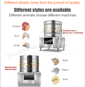 <span class=keywords><strong>Plumeuse</strong></span> industrielle économique de poulet de caille <span class=keywords><strong>plumeuse</strong></span> pour la maison utilisée commerciale <span class=keywords><strong>plumeuse</strong></span> de poulet <span class=keywords><strong>plumeuse</strong></span> de poulet - Product Image 6