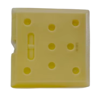 Bloc de glace en HDPE durable et écologique - Recyclable, imperméable, résistant aux chocs, pour températures extrêmes et utilisation à long terme
