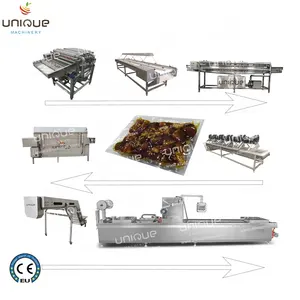 Palm dates washing machine selecting conveyor oven processing line