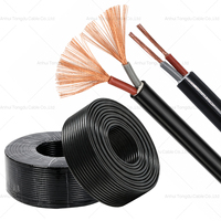 Câble flexible H05VV-F RVV 2 conducteurs 2x2,5mm² 300/500V IEC 60227 en cuivre gainé PVC pour équipement de cuisine commerciale