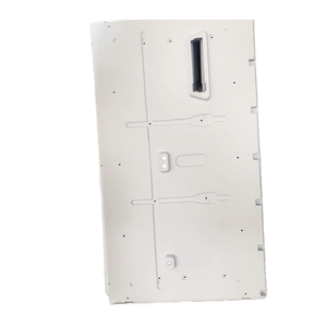 لوحة باب مركبات الترفيه (RV) كبيرة مخصصة من البلاستيك ABS/HDPE المشكل بالتفريغ الحراري مع قولبة بالحقن - ماركة قوانغدونغ - Product Image 3