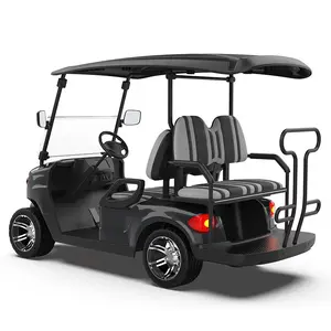 2 + 2 koltuk elektrikli kaldırdı Golf arabası av araç güçlü 5KW AC Motor kontrol ünitesi elektrikli Golf arabası