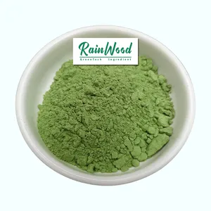 Bulk Supply Good Quality Pure and Natural Wheat Grass Herbal Powder