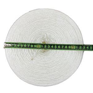 Corde de reliure de tomate de film fendu de ficelle de presse du polypropylène <span class=keywords><strong>PP</strong></span> de haute résistance pour l'emballage - Product Image 3