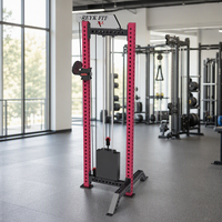 Appareil de musculation multifonctionnel REYK REYK18 de haute qualité avec poulie simple, tirage vertical, croisement de câbles réglable 75 kg, unisexe, pour exercices des bras et abdominaux