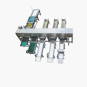 Machine de classement des œufs pour l'emballage/machine de tri des œufs/machine automatique de classement des œufs