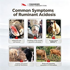 Neutralizador de Ácido Veterinario YIMER, Neutraliza el Ácido Gástrico, Cuidado de Pezuñas, Tónico Gástrico, Previene la Podridad de Patas, Aditivo para Alimento de Ganado Vacuno y Ovino - Product Image 6