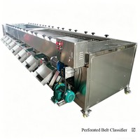 Citrus mango sorteermachine, industriële automatische rol sorteermachine voor fruit en groenten, roestvrij staal, hoge sterkte