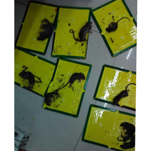 กระดานสติ๊กเกอร์เมาส์พับได้ กระดาษแข็งหนาและกว้างขึ้นทําให้จับหนูง่ายขึ้น - Product Image 4