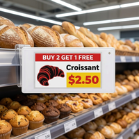 Étiquette de prix numérique E Ink pour supermarché, étiquette électronique d'étagère ESL, étiquette de prix économique