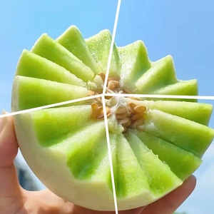 Emulsione Aromatizzante all'Estratto di Melone Muschio con Elevata Stabilità Termica (Liquido/Polvere 99,5%-100% Assay) per Pasticceria, Gelati e Snack - Product Image 1