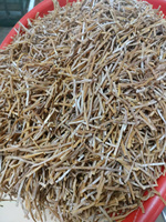 Brote de bambú orgánico secado al sol sin azufre, verduras conservadas naturales directamente de fábrica china