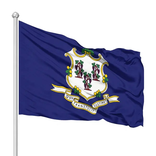 Tela de poliéster personalizada con la bandera del Estado americano, 150-90cm