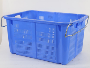 Khuôn Ép Trái Cây Bằng Nhựa Khuôn Ép Hộp Vận Chuyển - Product Image 2