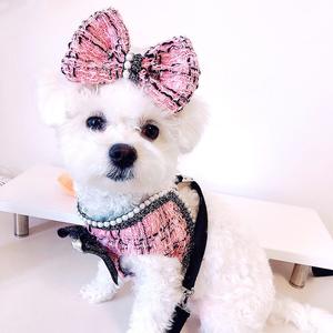 高級調節可能ブランドG通気性デザイナーペットアクセサリーレザーベストパッド入り犬用ハーネスとリード - Product Image 1