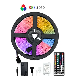 Chống Nước Linh Hoạt Smd 12V 5 Mét Với 44 Phím Thay Đổi Màu Từ Xa 5050 Đèn Led Rgb