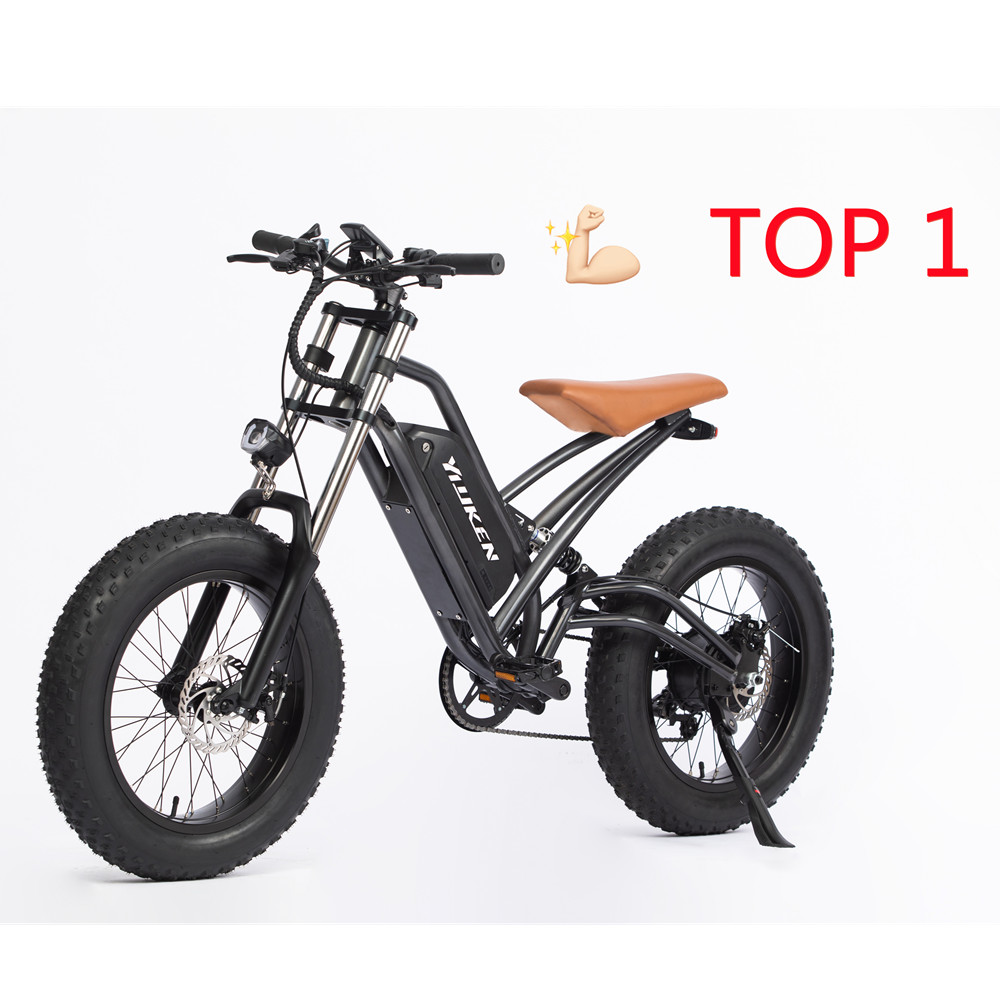 Promozione italian, Shopping online per italian promozionali - 2 posti bici  elettrica.alibaba.com