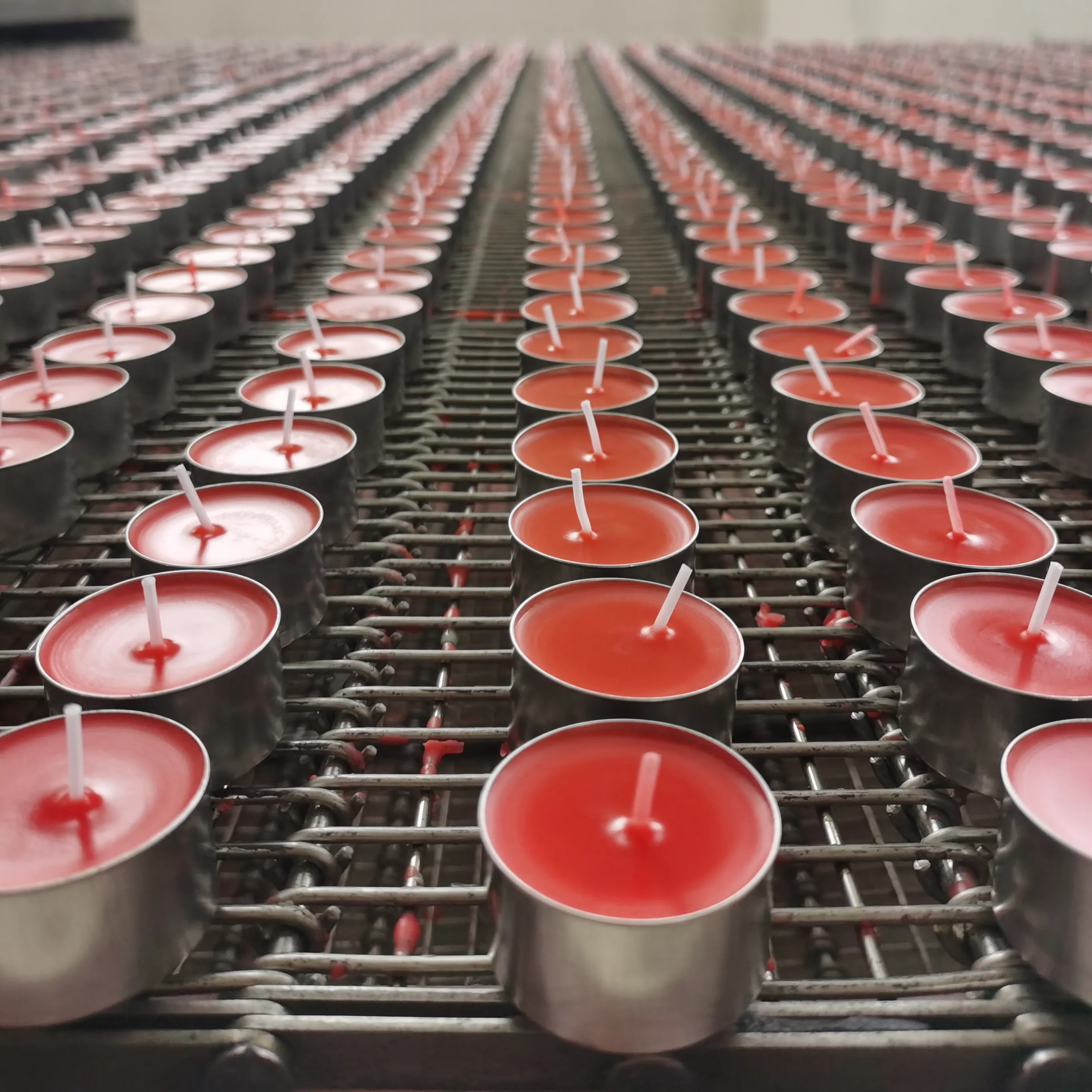 Tea Lights 8 Hour Long Burn Night Light Candles Unscented Tealight 50 100 600 Christmas White Cotton Handmade OEM Customized Wax