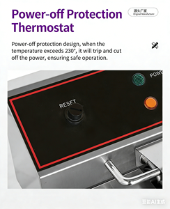 Friggitrice Elettrica Professionale da Banco a Due Vasche in Acciaio Inox da 16L per Ristoranti, per Pollo, Patatine Fritte e Tacchino - Product Image 4